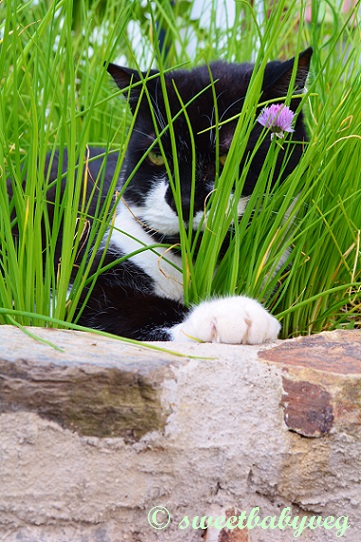 But this spiky grass is getting on my nerves.