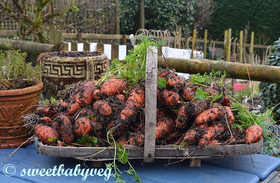 Amsterdam Sweetheart and re 008 (2)