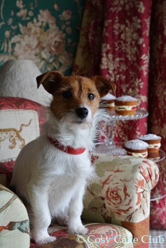 Jewel part 2 008 - Copy (2)