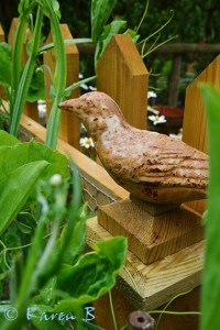 Run up to open day 2016 093 (2)